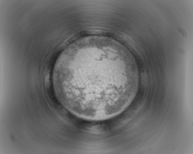 X0000113900267200910151402