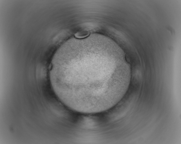 X0000113900268200910151402