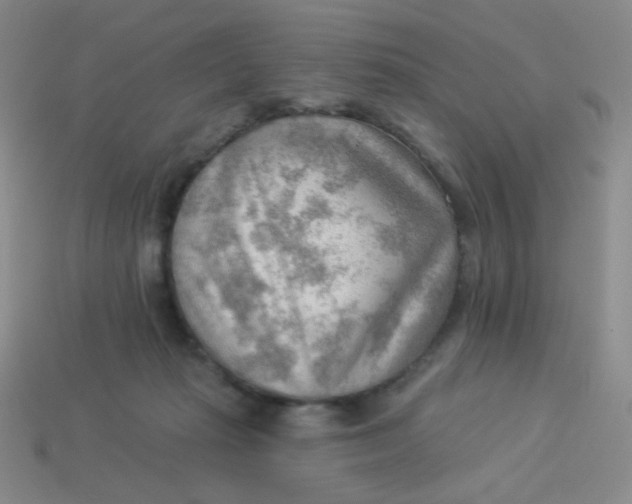 X0000113900269200910151402