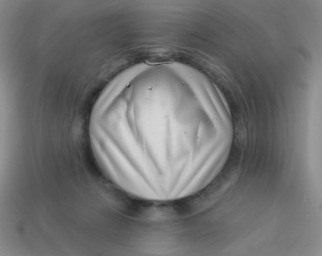 X0000113900270200910151402