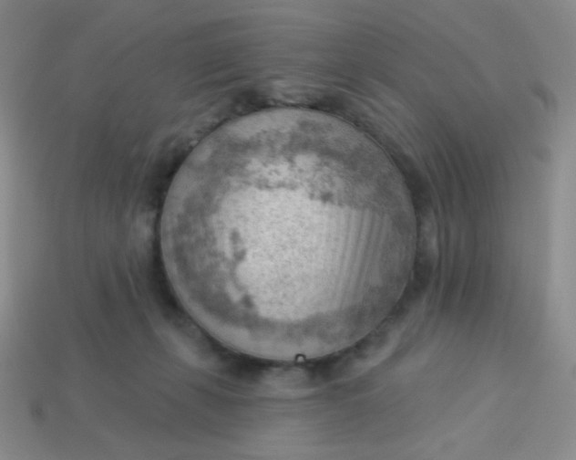 X0000113900271200910151402