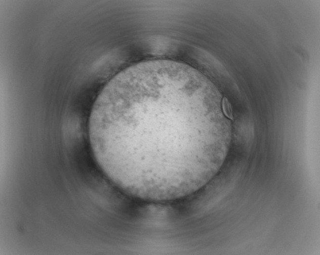 X0000113900272200910151402