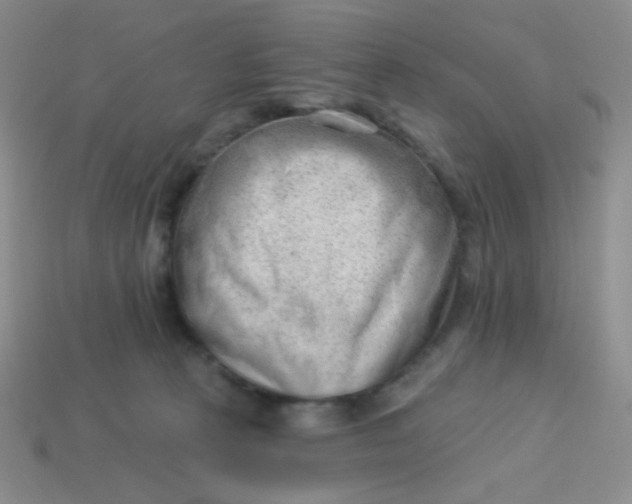 X0000113900273200910151402