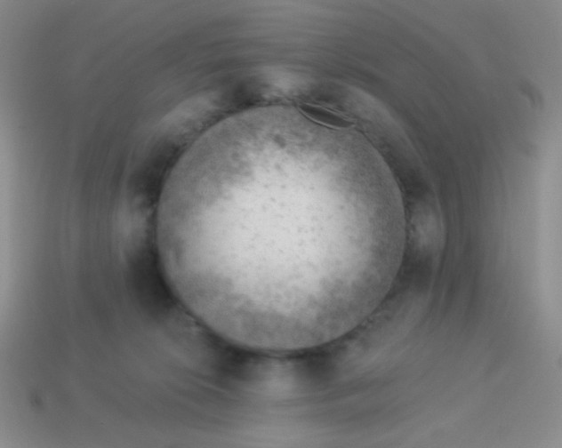 X0000113900276200910151403