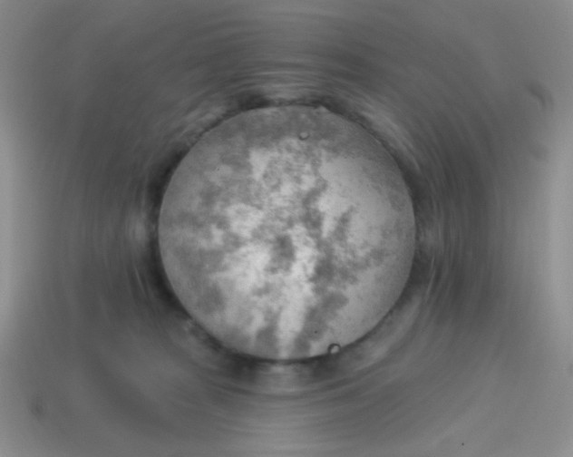 X0000113900277200910151403