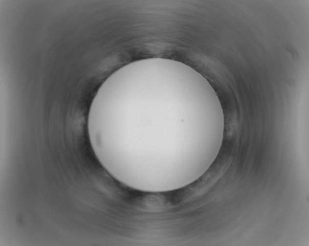 X0000113900279200910151403