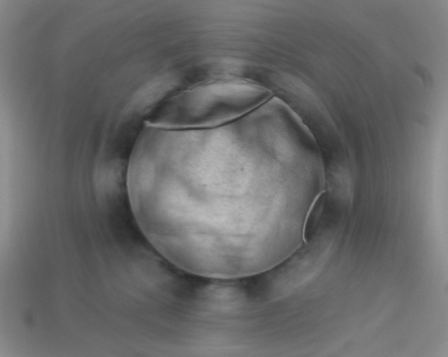 X0000113900280200910151403