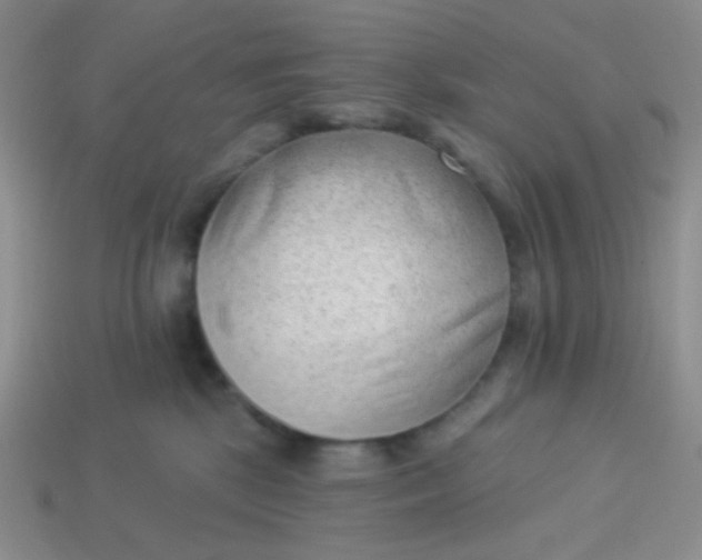 X0000113900281200910151403