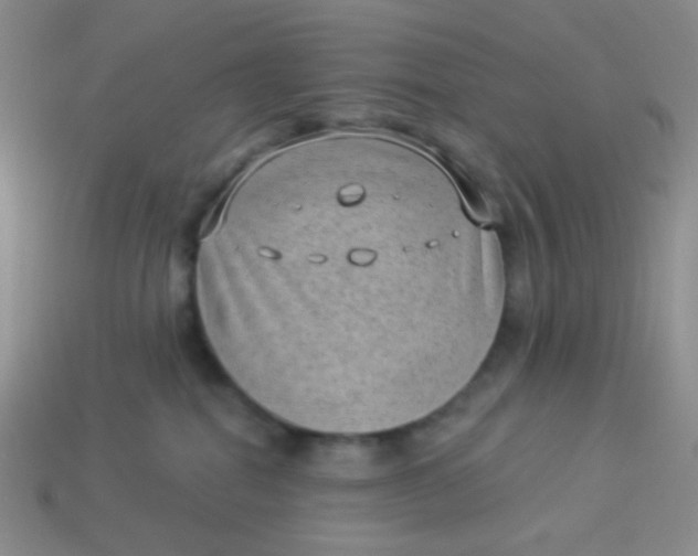 X0000113900282200910151403