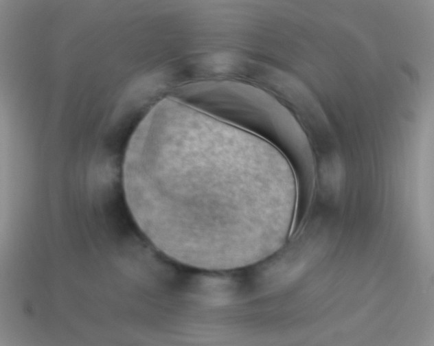 X0000113900284200910151403