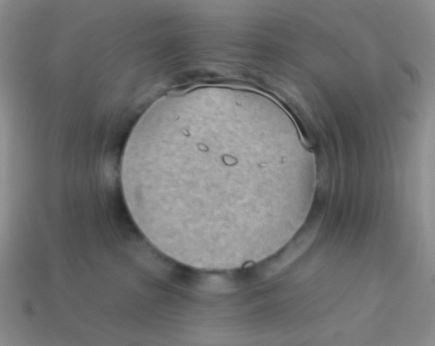 X0000113900285200910151403