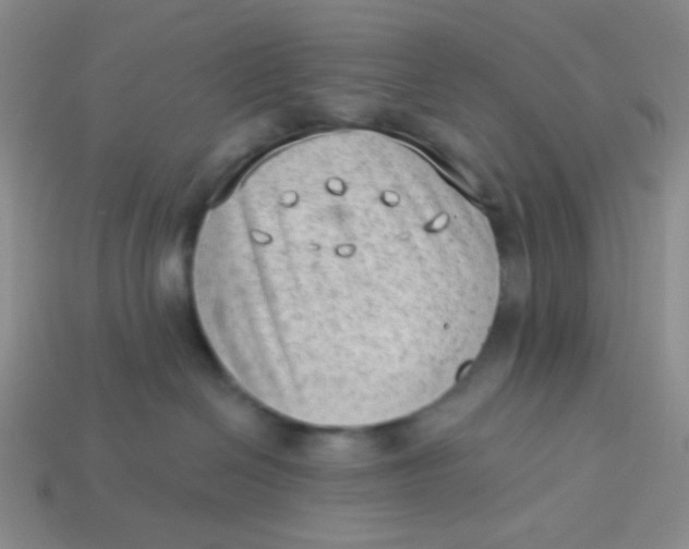 X0000113900286200910151403