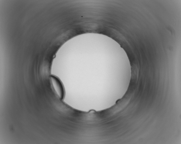 X0000113900287200910151403