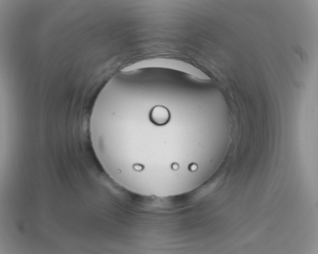 X0000113900288200910151403