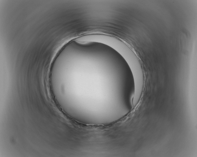 X0000113900289200910151402