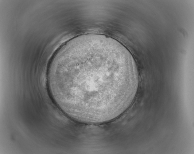 X0000113900290200910151402