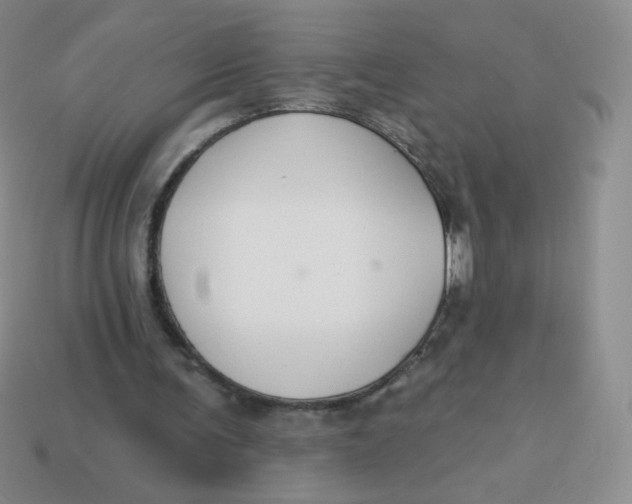 X0000113900291200910151402