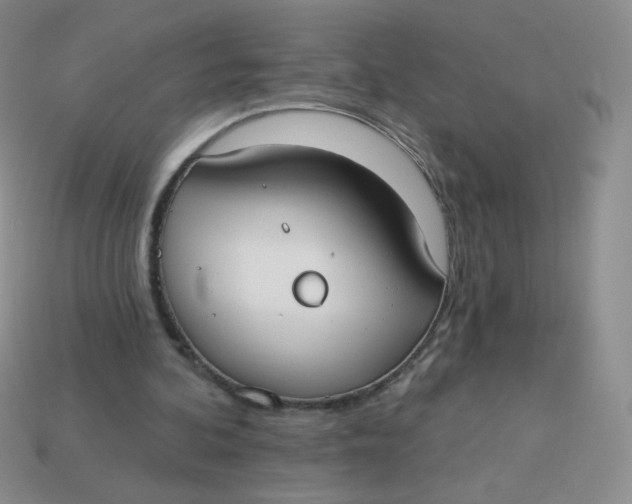 X0000113900292200910151402