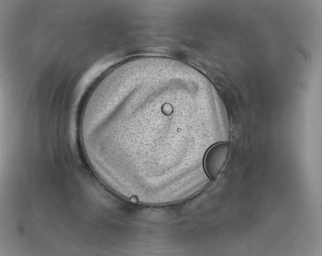 X0000113900294200910151402