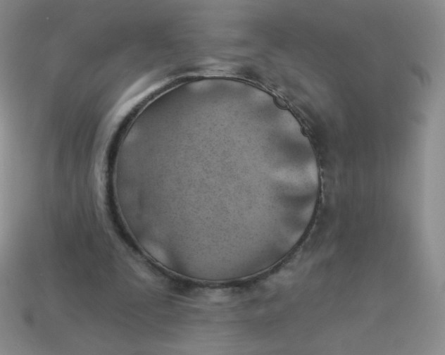 X0000113900295200910151402