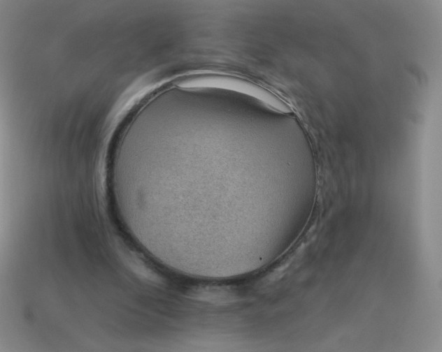 X0000113900296200910151402