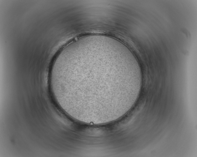 X0000113900299200910151402