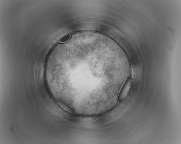 X0000113900301200910151402