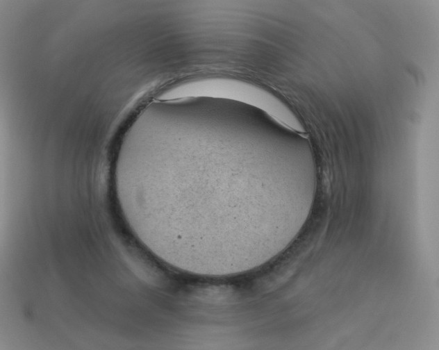 X0000113900304200910151402