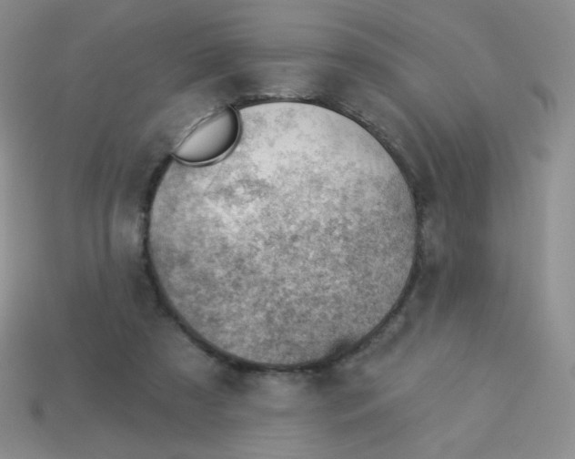 X0000113900305200910151402