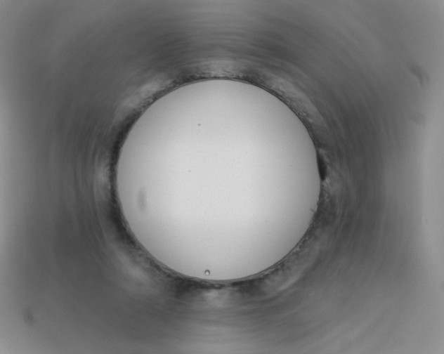 X0000113900306200910151402