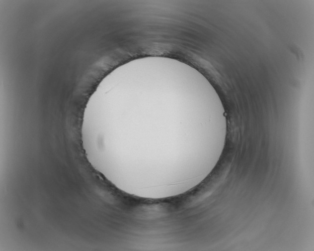 X0000113900307200910151402