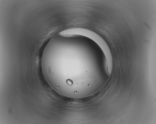 X0000113900308200910151402