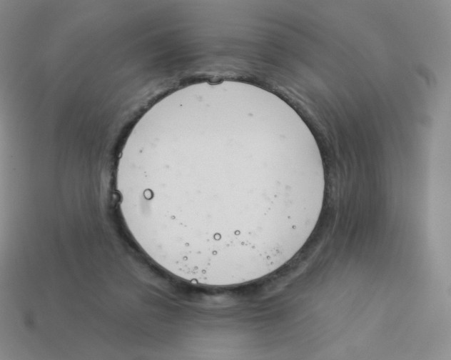 X0000113900309200910151402