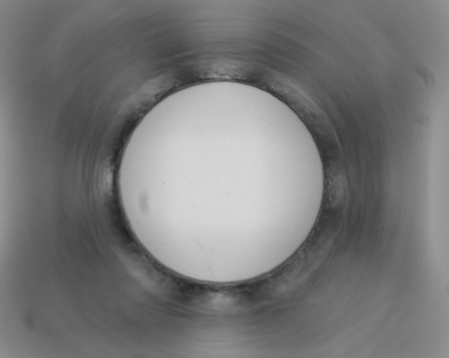 X0000113900310200910151402