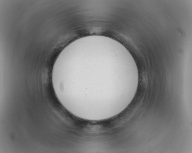 X0000113900311200910151402