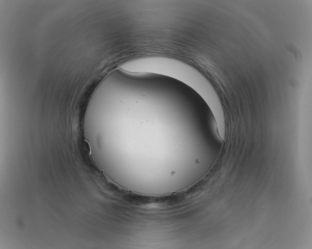 X0000113900312200910151402