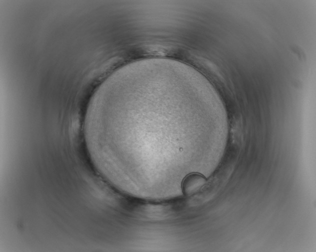 X0000113900314200910151401