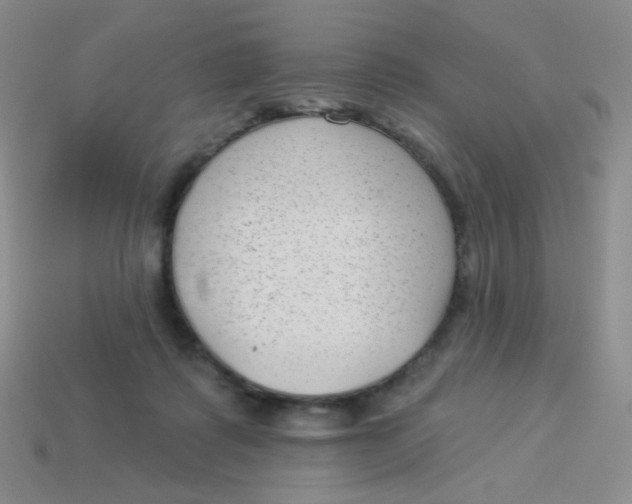 X0000113900315200910151401