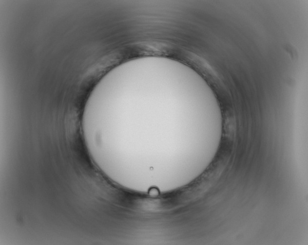 X0000113900318200910151401