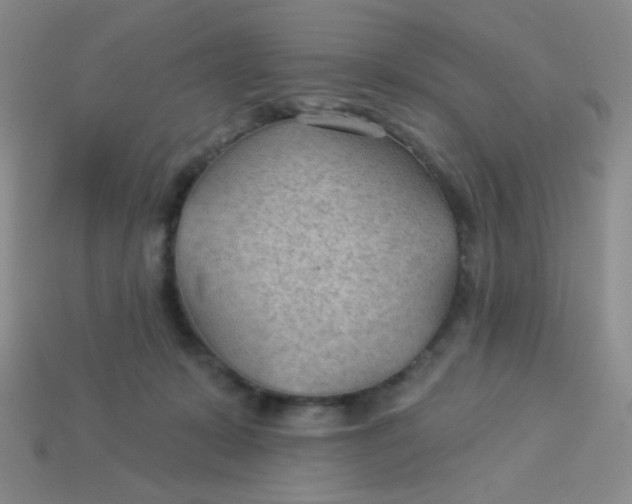 X0000113900319200910151401