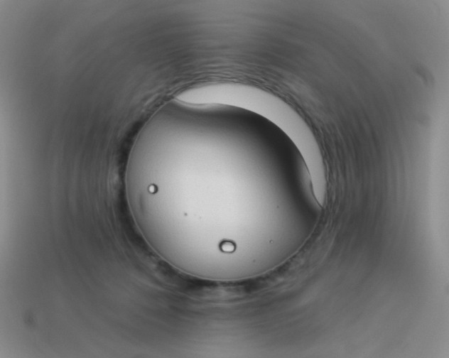 X0000113900320200910151401