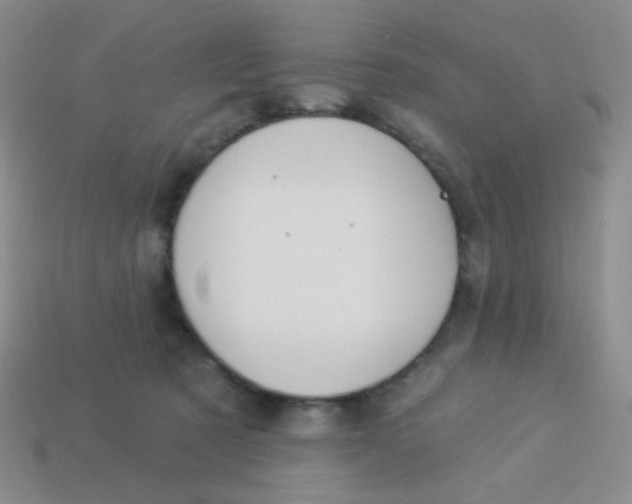 X0000113900321200910151401