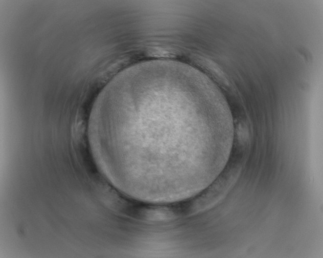 X0000113900322200910151401