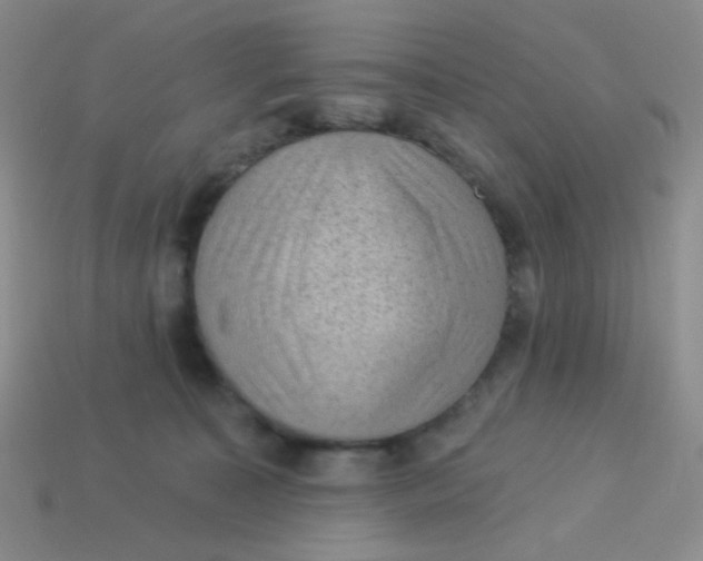 X0000113900323200910151401