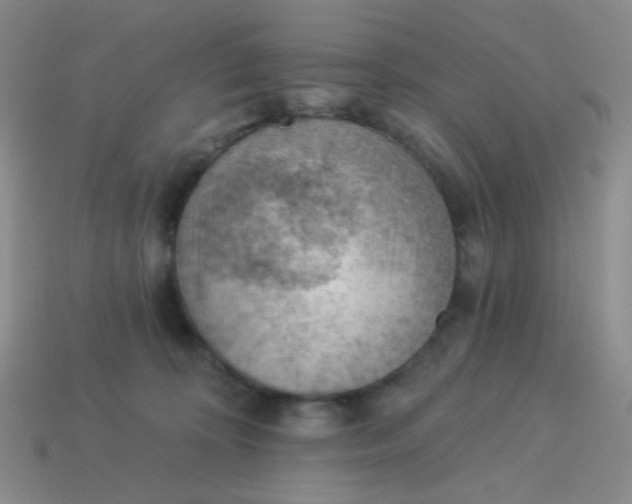 X0000113900324200910151401