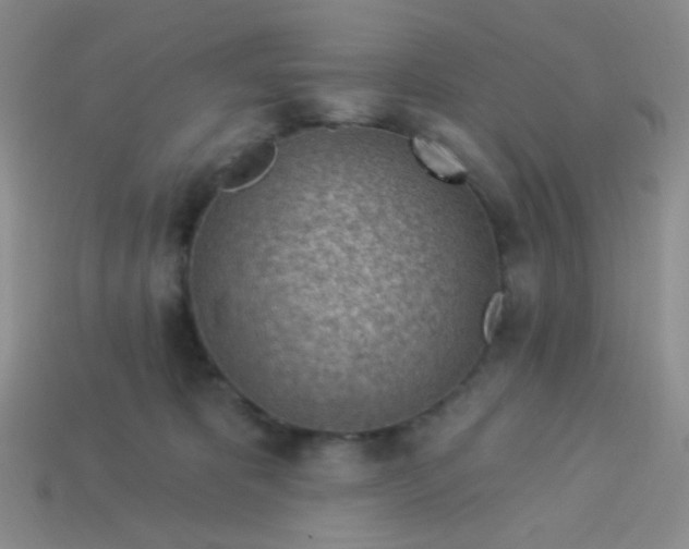 X0000113900325200910151401