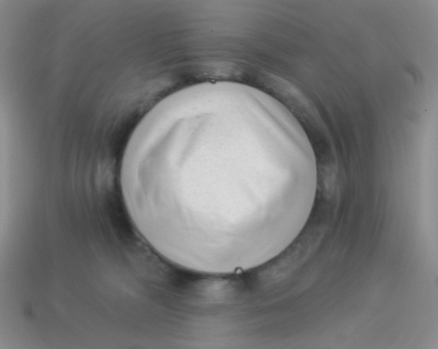 X0000113900326200910151401