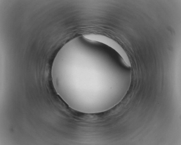 X0000113900328200910151401