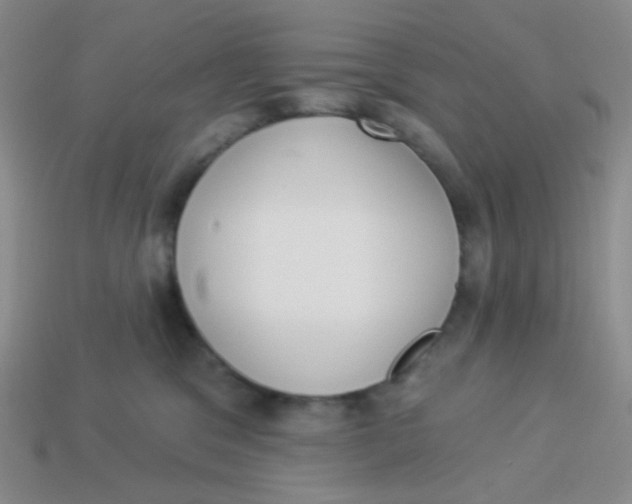 X0000113900329200910151401