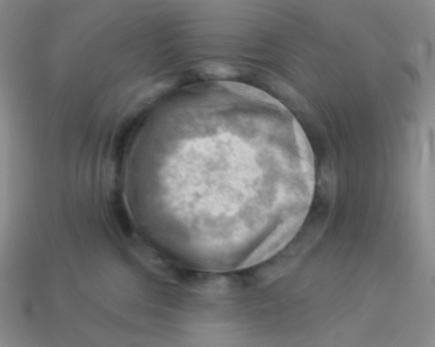 X0000113900330200910151401